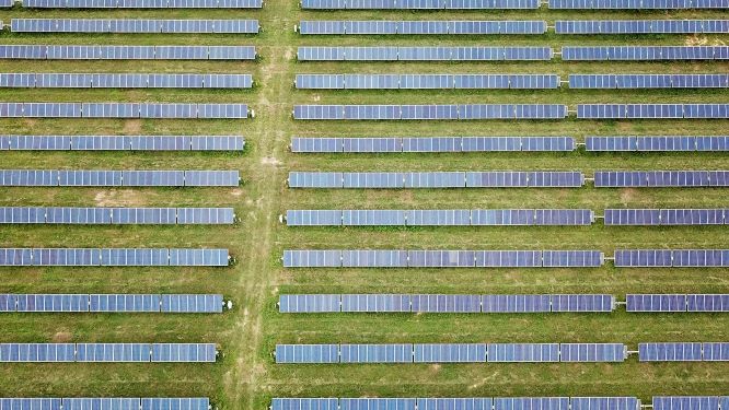 Bellisario 1 Image 1