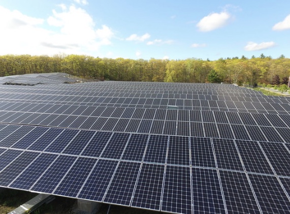 Bellisario 1 Image 3